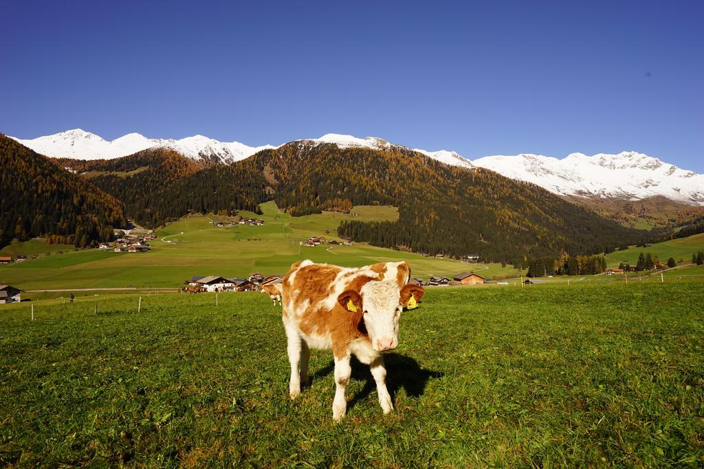 Apartmán Unterhabererhof Santa Maddalena in Casies Exteriér fotografie