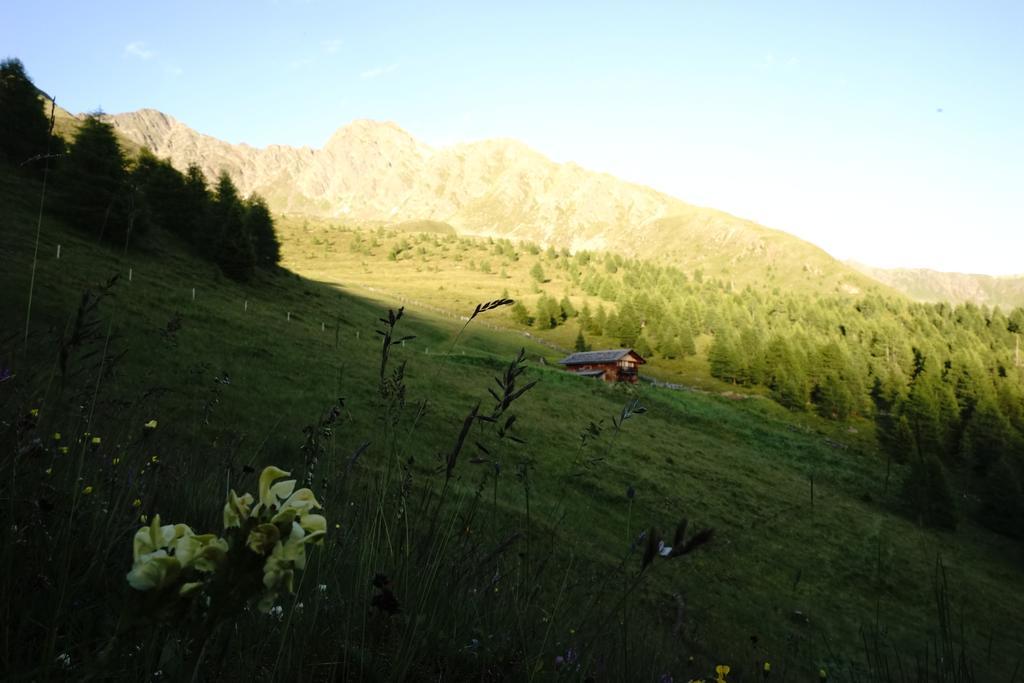 Apartmán Unterhabererhof Santa Maddalena in Casies Exteriér fotografie