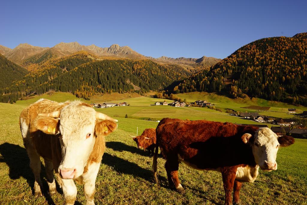 Apartmán Unterhabererhof Santa Maddalena in Casies Exteriér fotografie