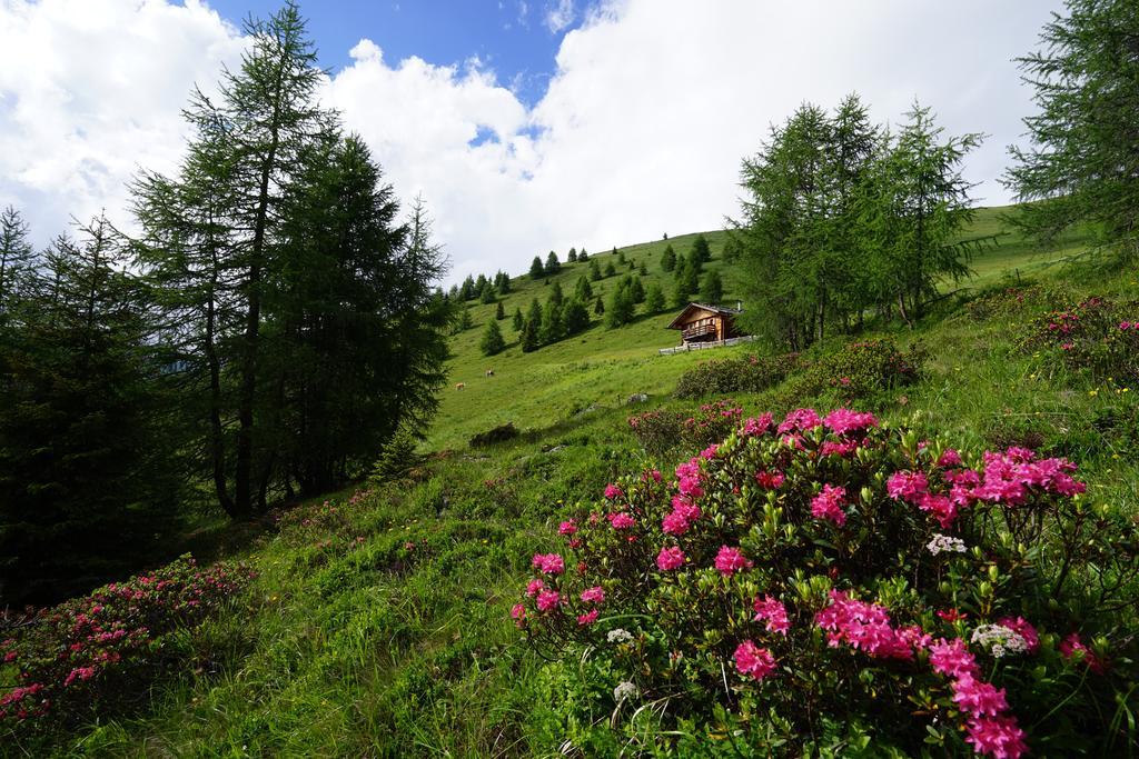 Apartmán Unterhabererhof Santa Maddalena in Casies Exteriér fotografie