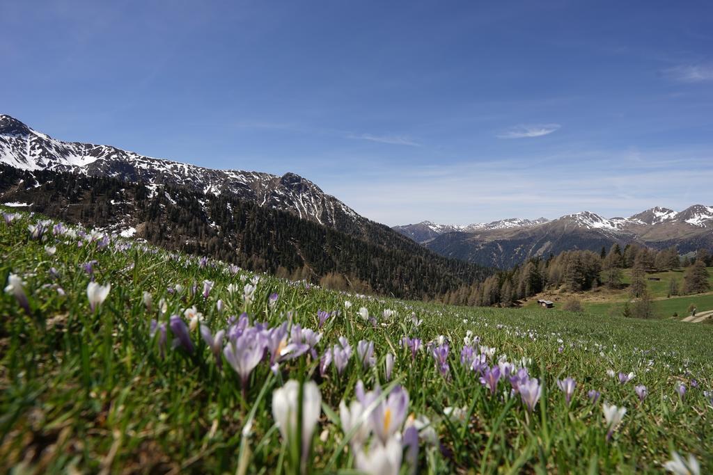Apartmán Unterhabererhof Santa Maddalena in Casies Exteriér fotografie