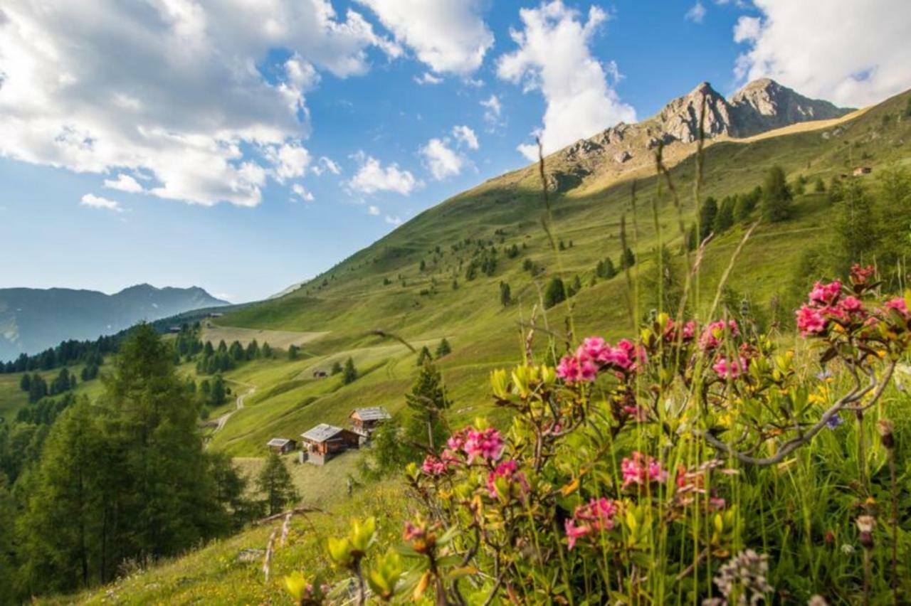 Apartmán Unterhabererhof Santa Maddalena in Casies Exteriér fotografie